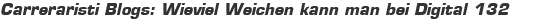 Carreraristi Blogs: Wieviel Weichen kann man bei Digital 132