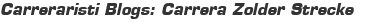 Carreraristi Blogs: Carrera Zolder Strecke