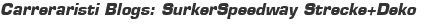Carreraristi Blogs: SurkerSpeedway Strecke+Deko